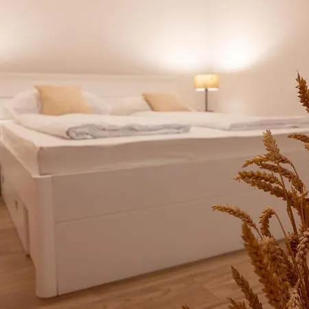 Apartment Z *